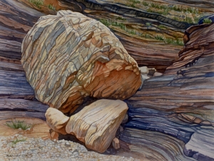 Patterns in Nature, Layers in Time