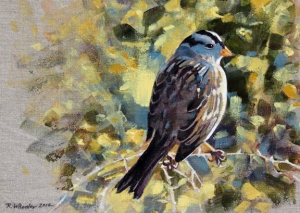 White-crowned Sparrow