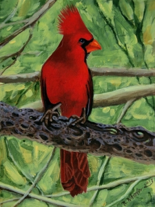 Cardinal