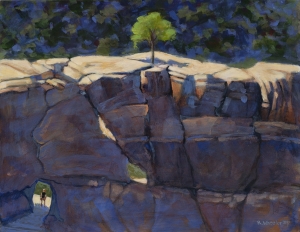 Bonzai and the Passage to Bright Angel