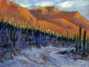 Dry Wash, Mountain Shadows