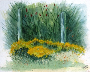 Brittlebush, Saguaro, Ocotillo