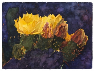 Santa Rita Prickly Pear Cactus